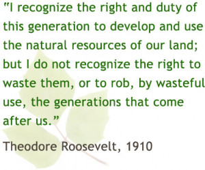 ... use, the generations that come after us - Theodore Roosevelt, 1910