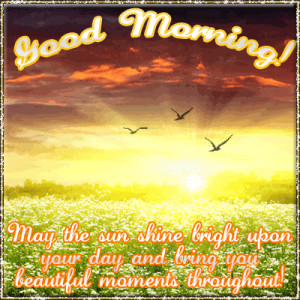 Good Monday Morning Wishes Beautiful sunny good morning.