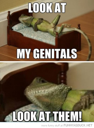 funny pics pictures pic picture image photo images photos lol humor