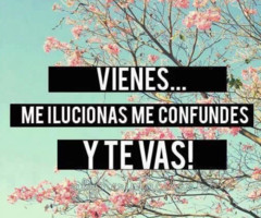 Banda Carnaval Y Te Vas