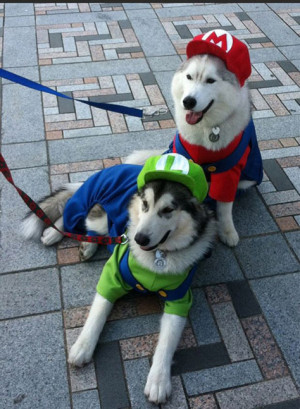 Funny Quotes Mario Luigi Wario And Warluigi Memes Facebook Cover 850 X ...