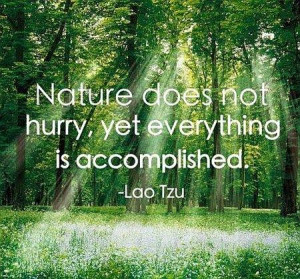 Nature Doesn’t Hurry