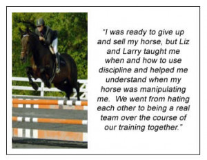 Horse jumping with quote.