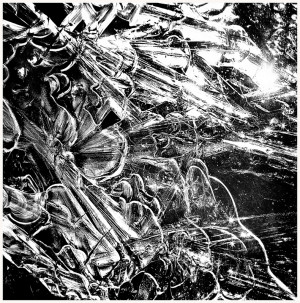 Funny Quotes Contact Dmca...