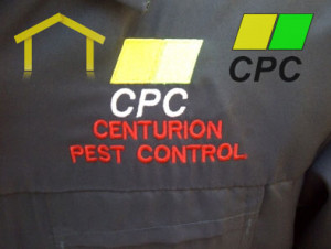 YOU ARE HERE: Pest Control in Rustenburg