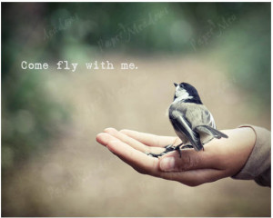 Bird, Chickadee, Inspirational Quote, Come fly with me, Photography ...