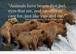 ... That See And Families To Care For Just Like You And Me - Animal Quote