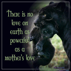 As in All Maternal Species...