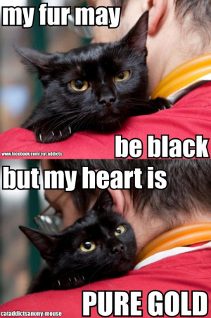 Black Cats Have Hearts of Pure Gold, stop by member shelter @NHHumane ...
