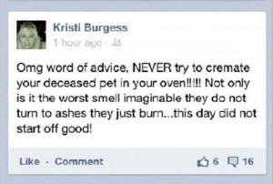 funny facebook status updates funny quotes for facebook facebook funny