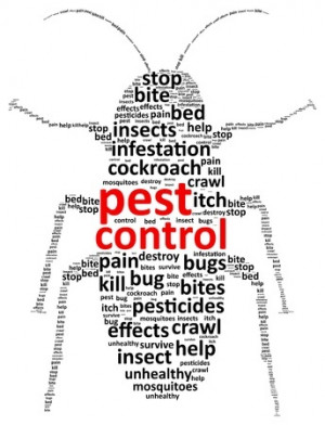 nobody likes having to deal with unwanted insects and pests