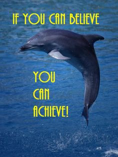 inspirational dolphin quotes more dolphins quotes dolphins united ...