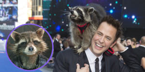 ... -real-life-raccoon-who-inspired-rocket-in-guardians-of-the-galaxy.jpg