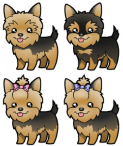 cartoon yorkies