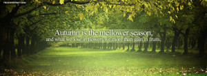 Autumn Is The Mellower Season Picture