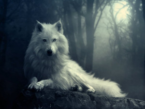 Wolves Wolf