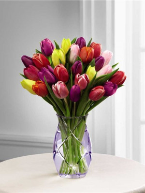 Happy Birthday Quotes Bouquet Tulips Red Tulip And Yellow