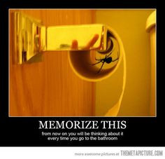 Fear of Spiders Quotes | Your irrational fears - Page 3 - Discussion ...