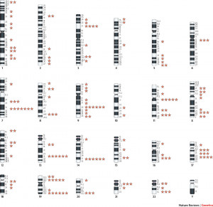 genome map human chromosomes