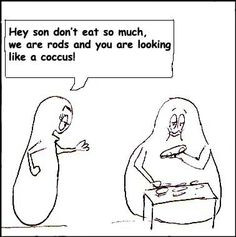 Microbiology humor ..shapes More