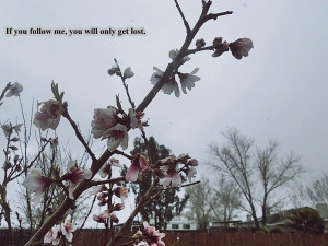 Bring Me The Horizon - 