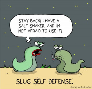 Cartoon: slug self protection (medium) by sardonic salad tagged slug ...
