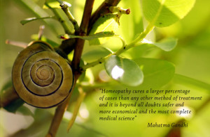 Snail and Quote