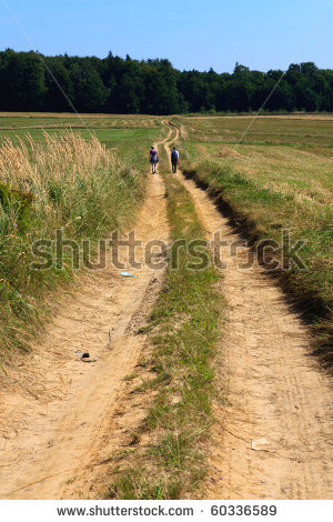 Related Pictures dirt path stock photos illustrations and vector art