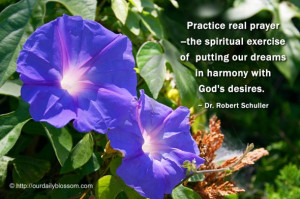 ... our dreams in harmony with God's desires. ~ Dr. Robert Schuller