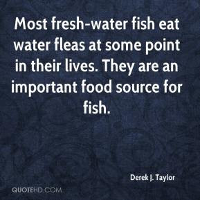 Derek J. Taylor - Most fresh-water fish eat water fleas at some point ...