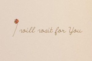 cursive, for, hand, love, quote, rose, running, text, wait, will ...
