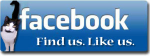 ... facebook like b easy money pawn society of youn contact us like button