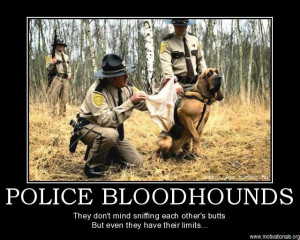 Demotivational Posters - Police (4)