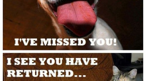 dog quotes dog quote from internet dog quotes dog quotes