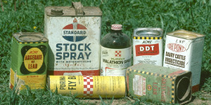 Banned Pesticide DDT