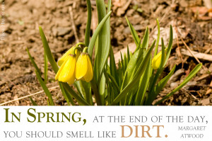 Prairie Inspiration: Timeless Quotes for Reflecting on Nature ...