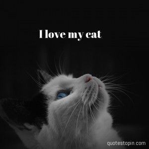 Quotes #Quote : I love my cat