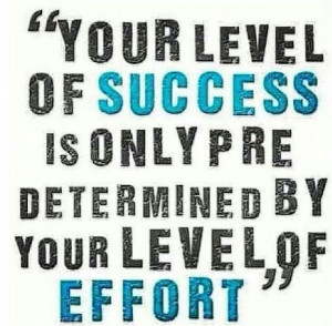 Your level of success is one predetermined by your level of effort.