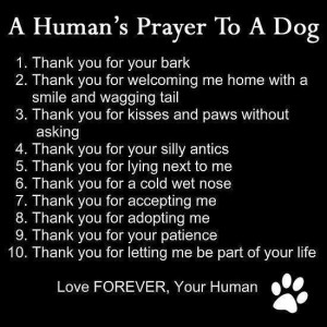 Prayer to my Dog