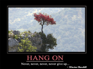 Hang In There Quotes http://www.happyquotesworld.com/2012/05 ...
