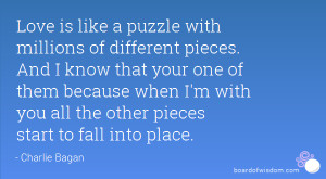 like a puzzle with millions of different pieces. And I know that your ...