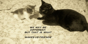 Tag Images Quotes Cats Friendship Day Happy Funny Cat