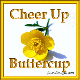 Cheer up myspace orkut friendster comments