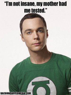 The Best Of Sheldon Cooper (20 Pics)