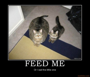 Top 10 Funny Demotivational Posters Feauring Animals - Toptenz.net