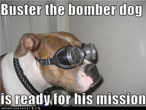 for Modern Warfare 3 funny-dog-pictures-buster-the-bomber-dog ...