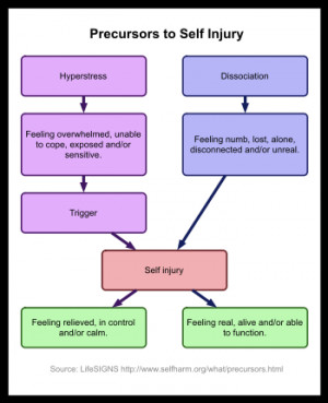 flow chart of two theories of self-harm.