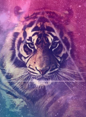 animal, cool, cute, galaxy, lion, lowe, pink, pretty, tiger