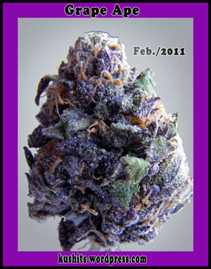 Eazy Lyric Quotes From g-eazy (ft. dam-funk)