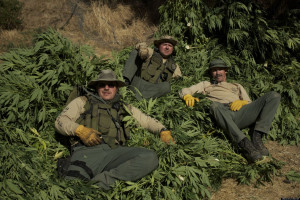 DISCOVERY-WEED-SHOWS-facebook.jpg